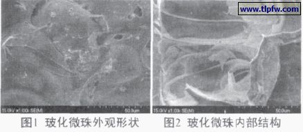 玻化微珠外观形状及内部结构